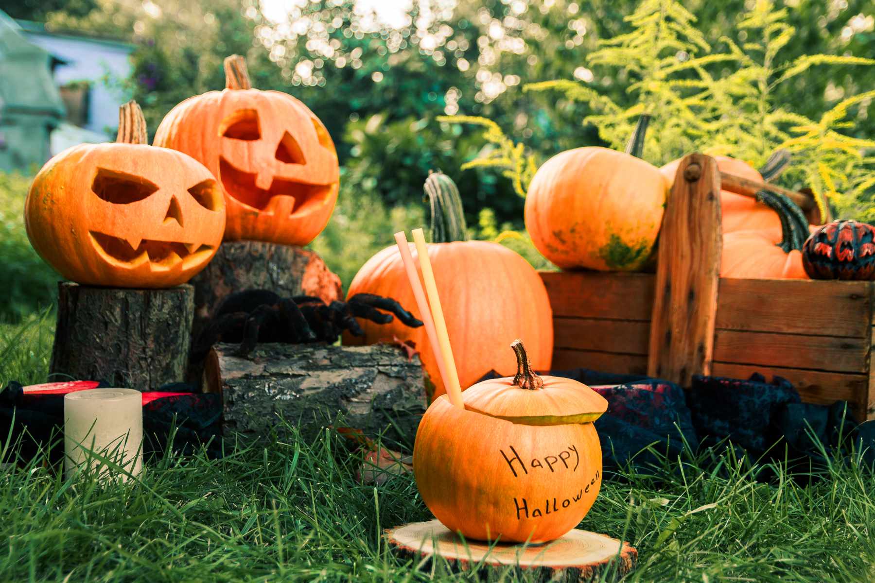 24-spooky-canva-fonts-that-ll-scare-even-halloween