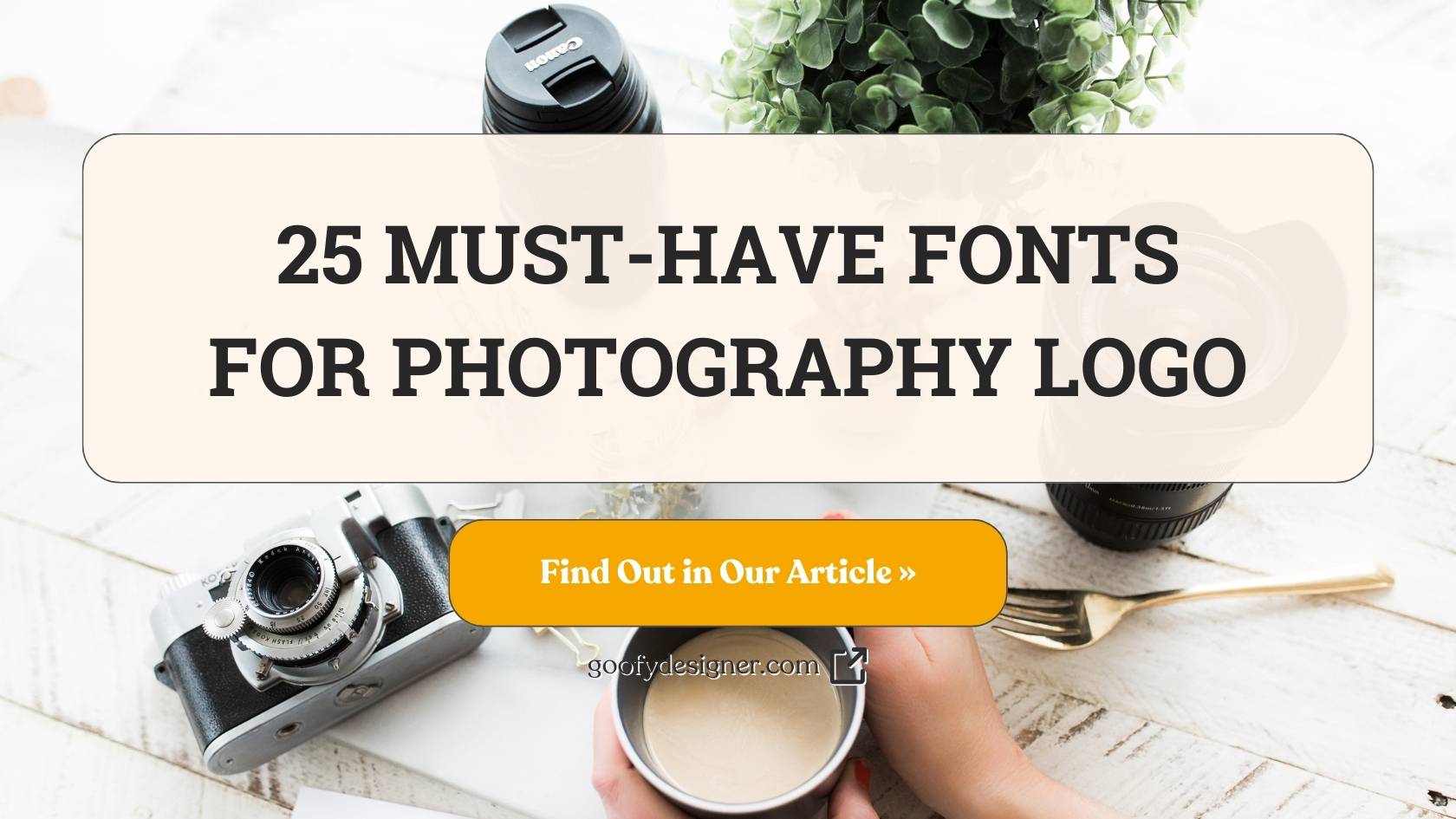 25 Best Fonts For Photography Logo That Zoom In On Inspiration